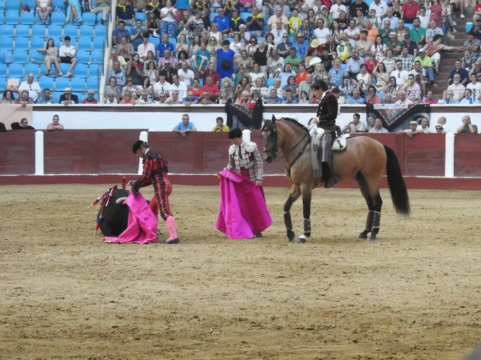 Toros (165)