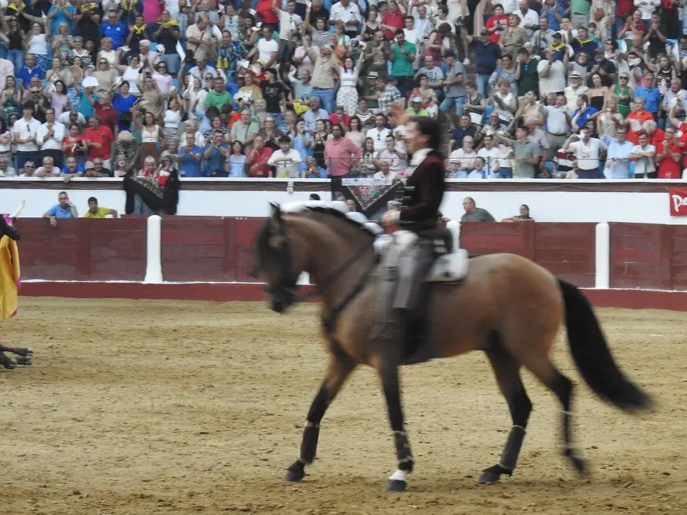 Toros (167)