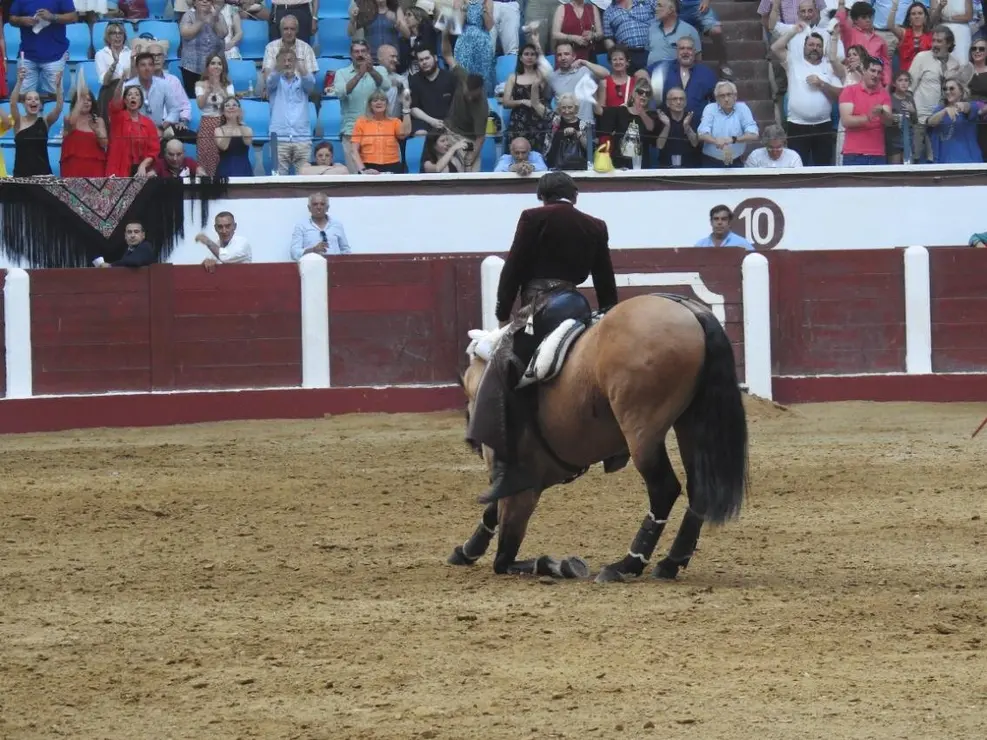 Toros (168)