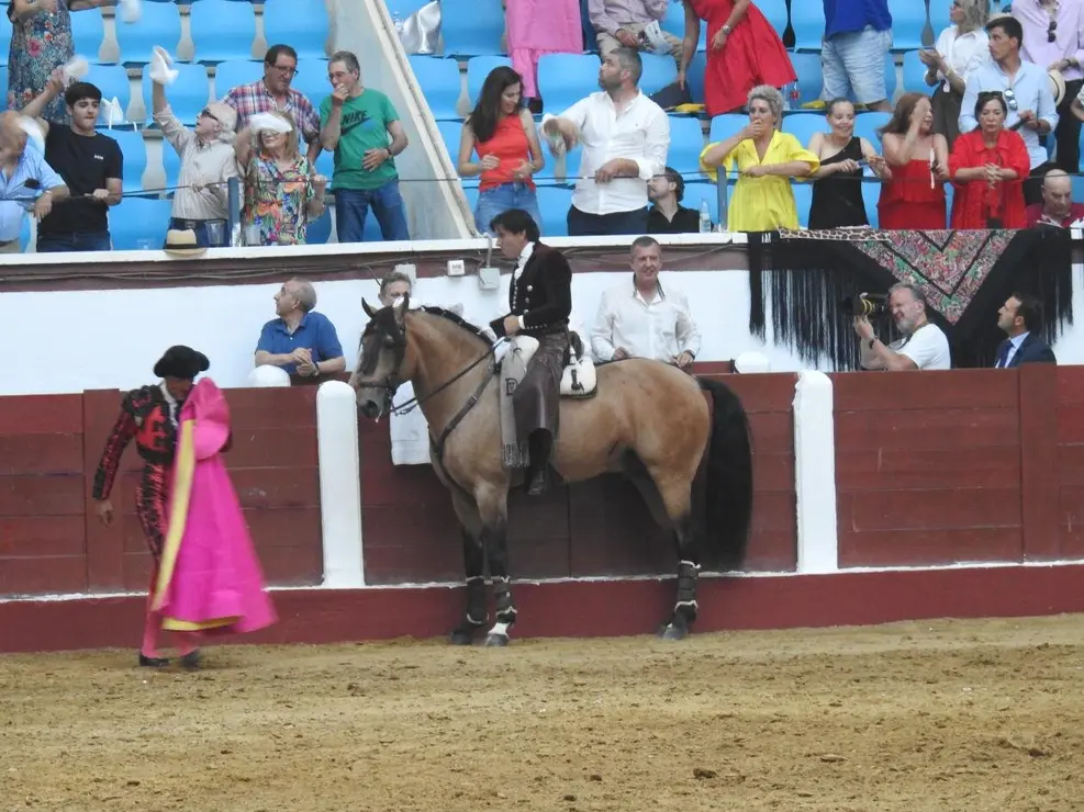 Toros (169)