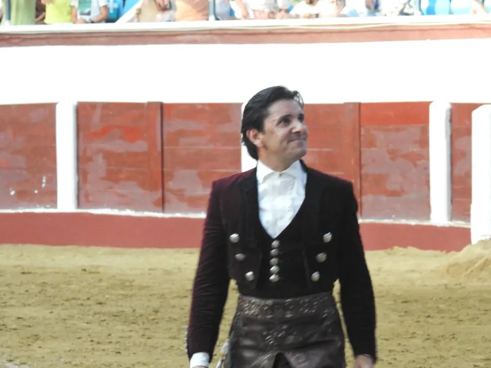 Toros (174)