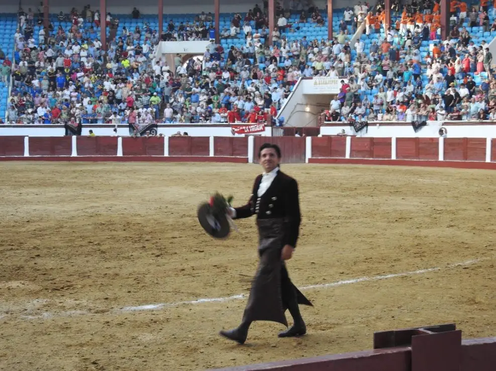 Toros (175)