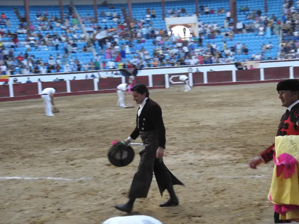 Toros (176)