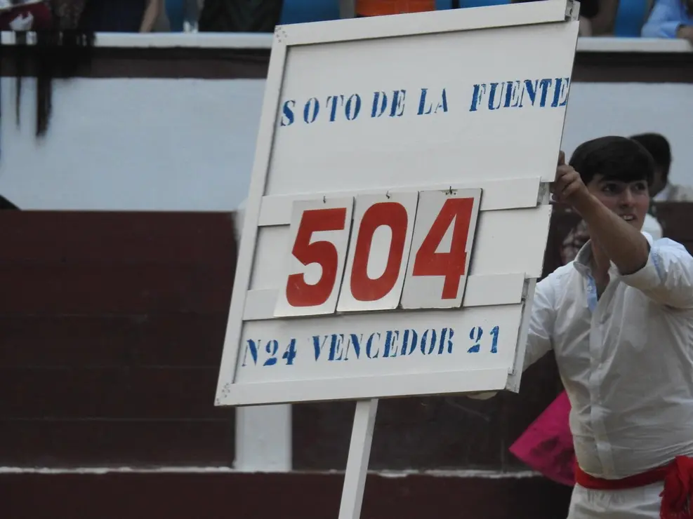 Toros (179)
