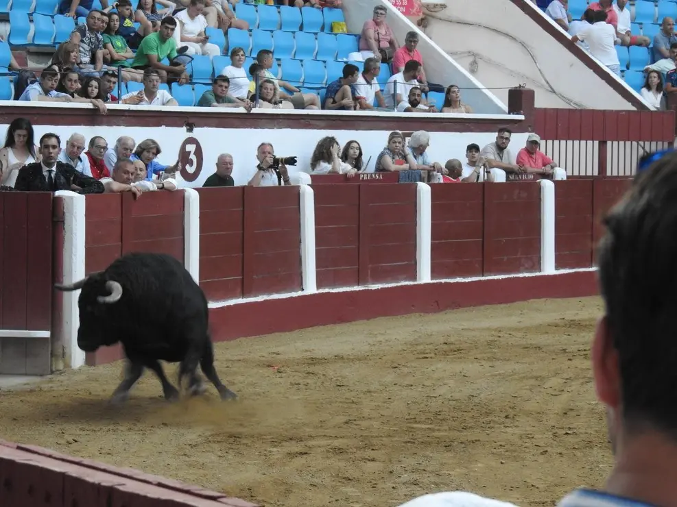 Toros (180)