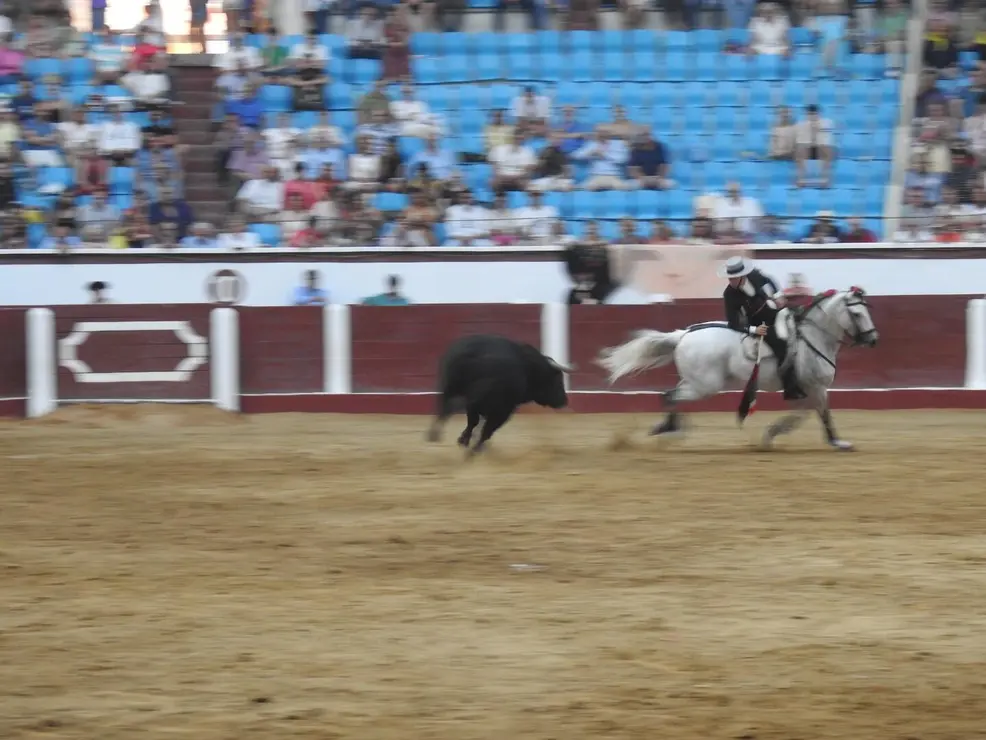 Toros (182)