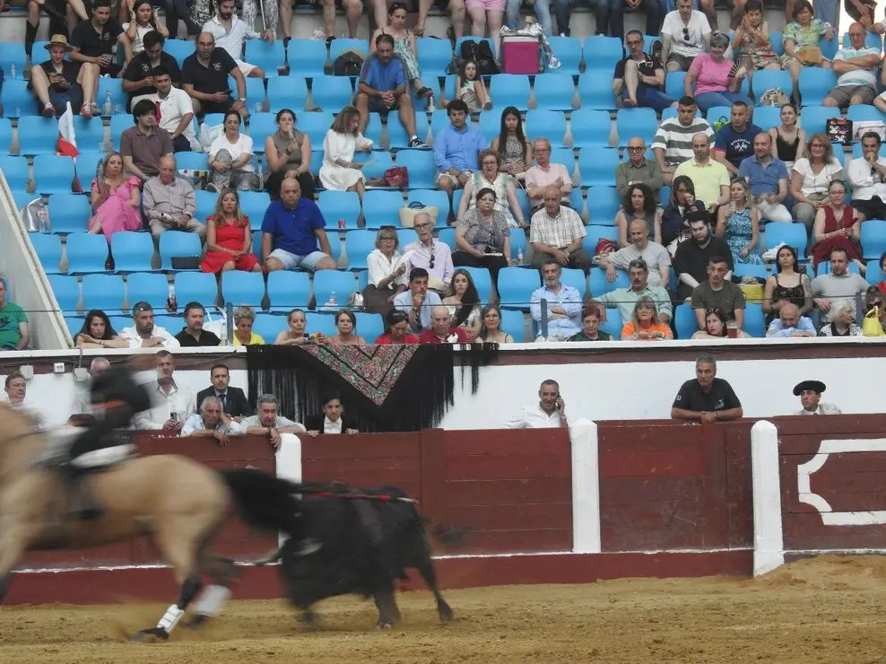 Toros (186)