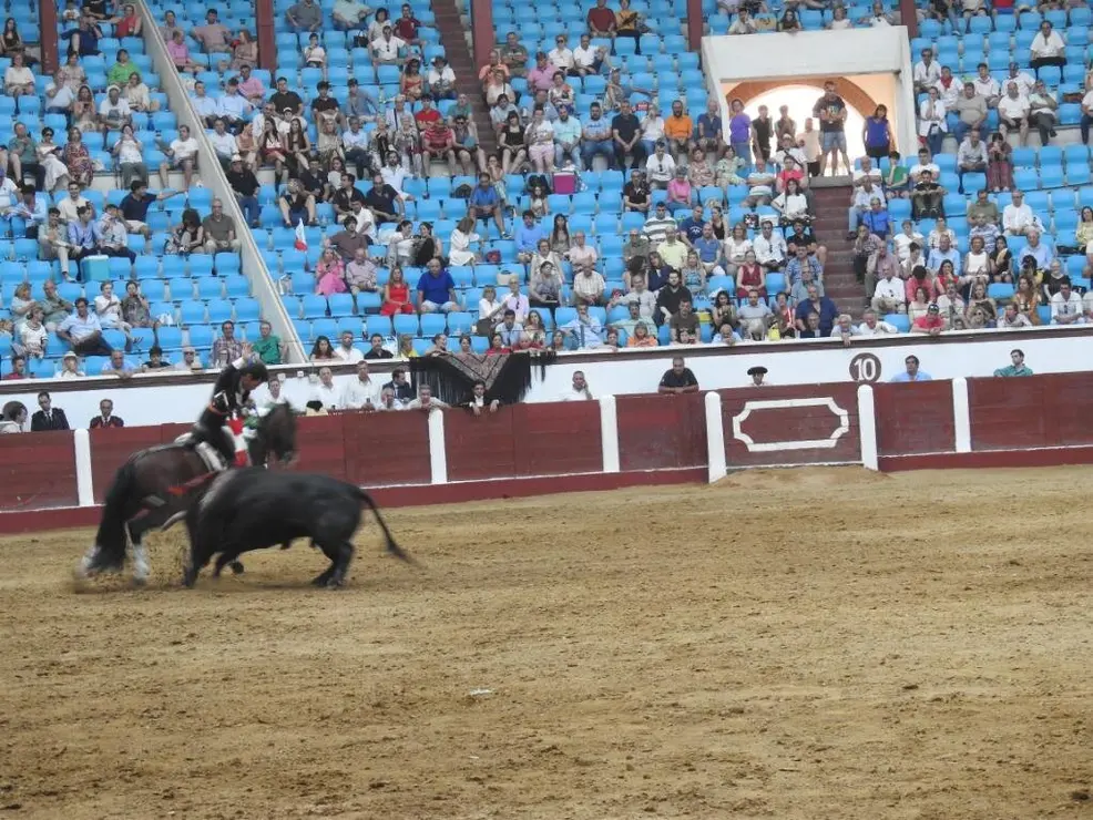 Toros (188)