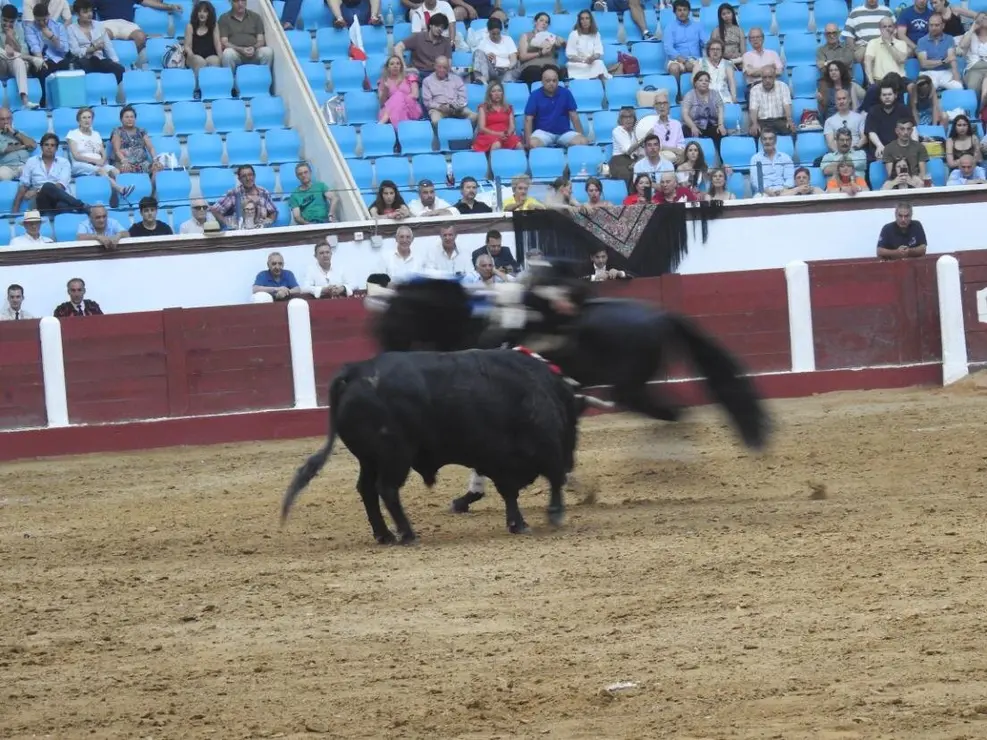 Toros (190)