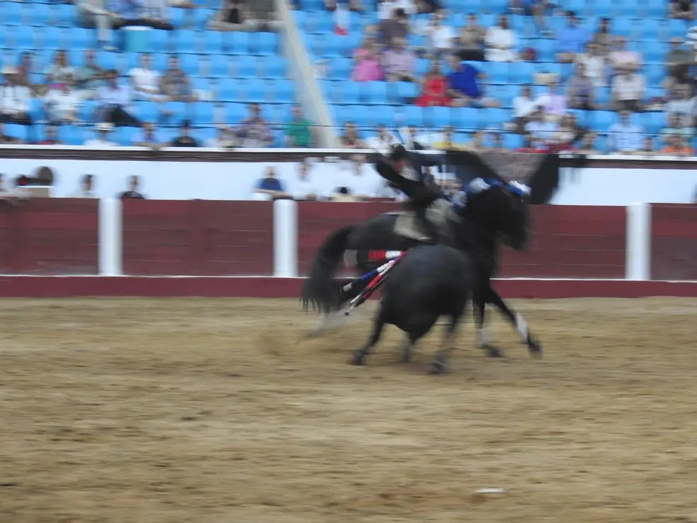 Toros (191)