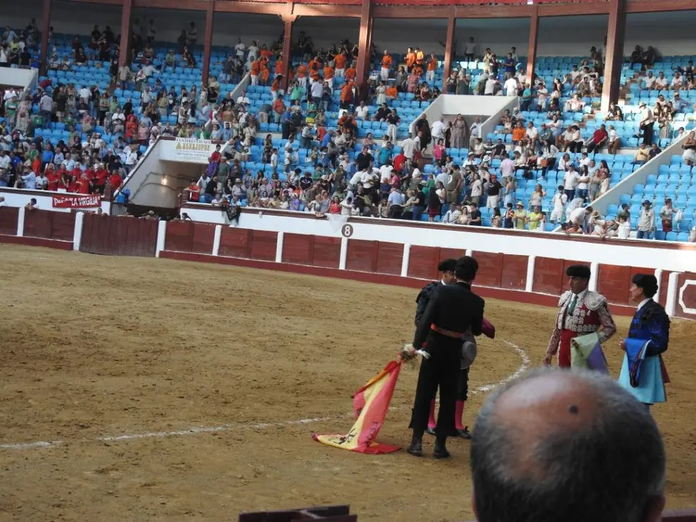 Toros (192)