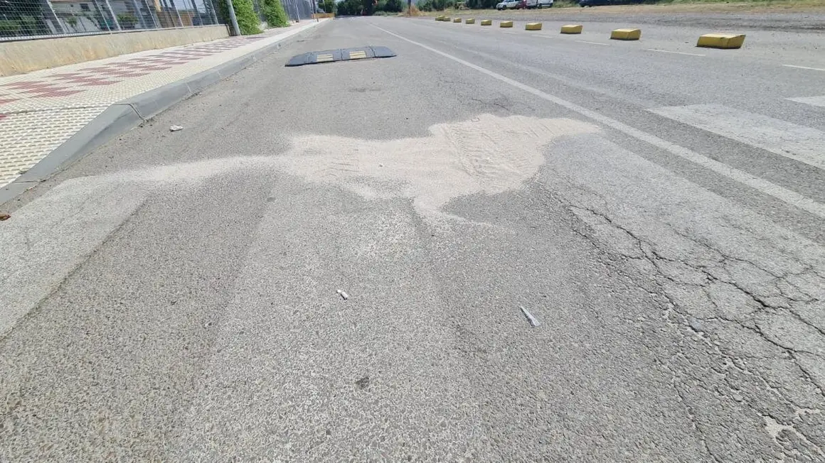 El atropello mortal tuvo lugar en la calle Vicente Alexandre, de Villaobispo en la madrugada de este domingo.