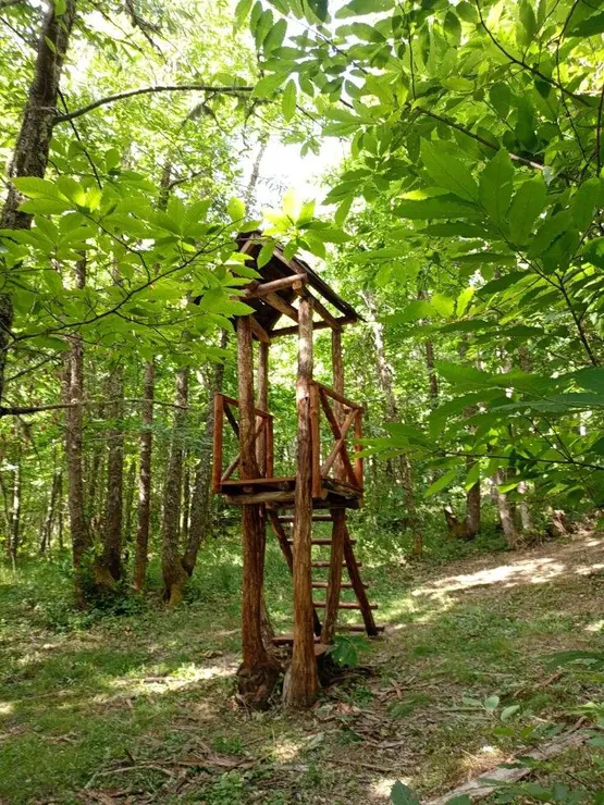 Área de juegos 5