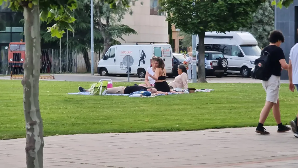 Picnic1