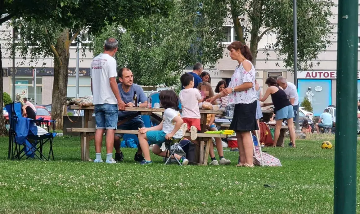 Picnic8