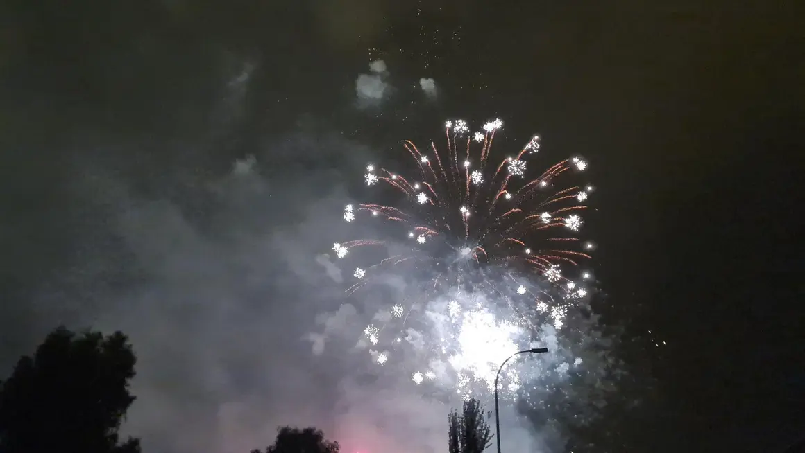 Fuegos artificiales (8)