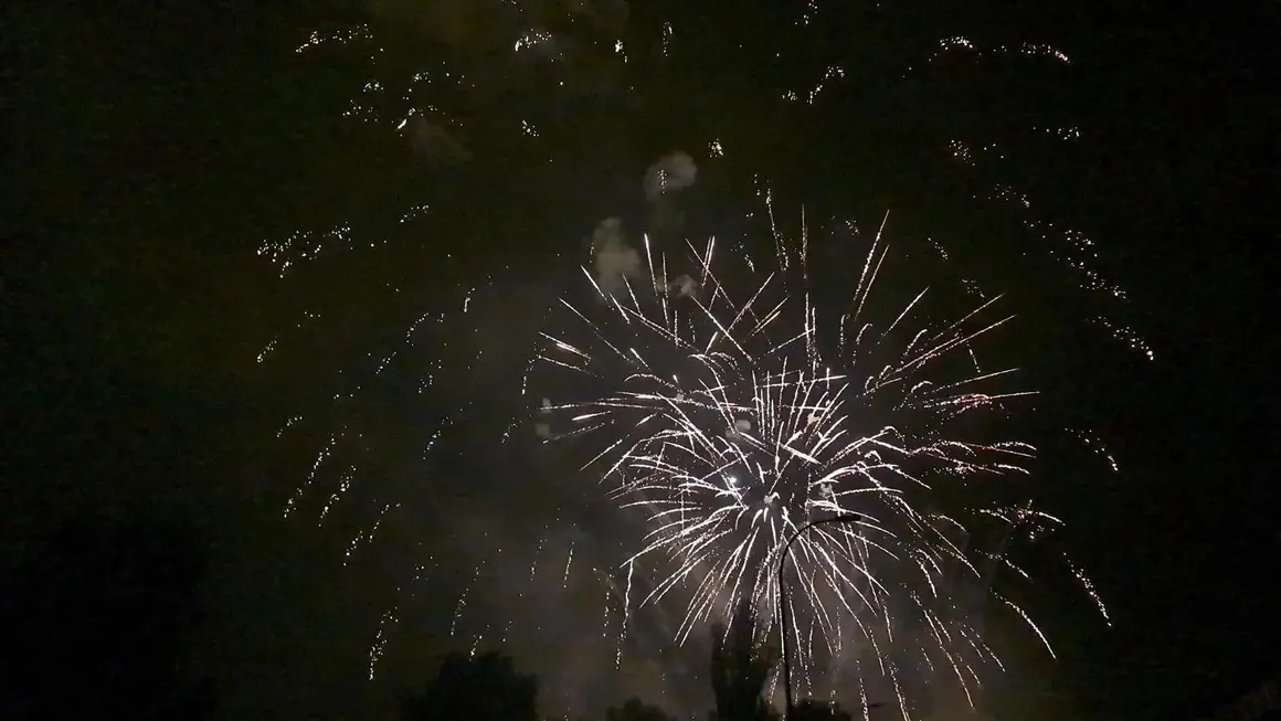 Fuegos artificiales (10)