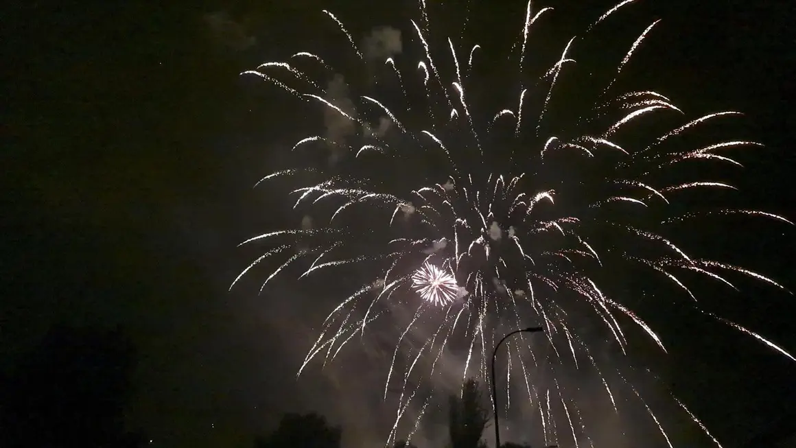 Fuegos artificiales (14)
