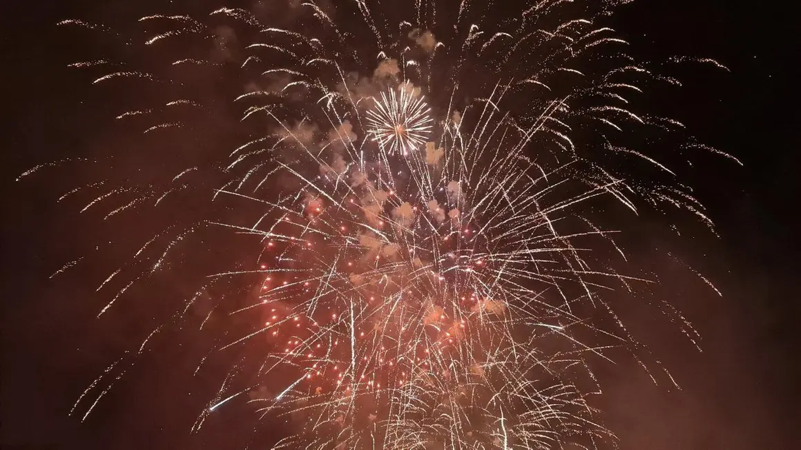 Fuegos artificiales (18)