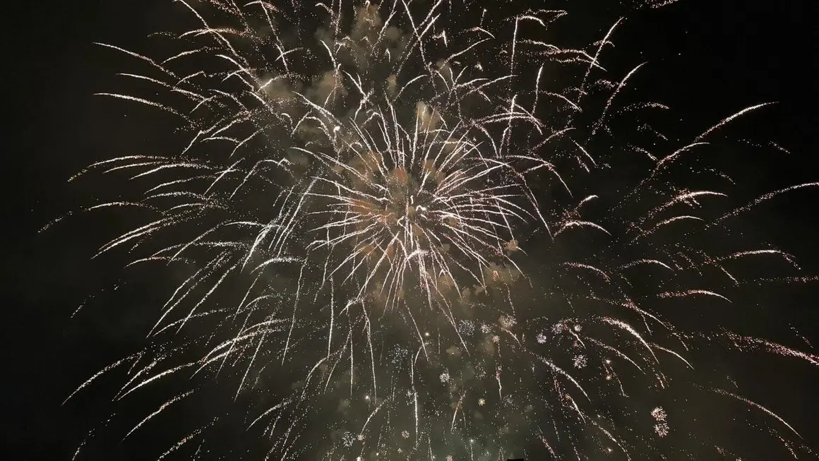 Fuegos artificiales (20)