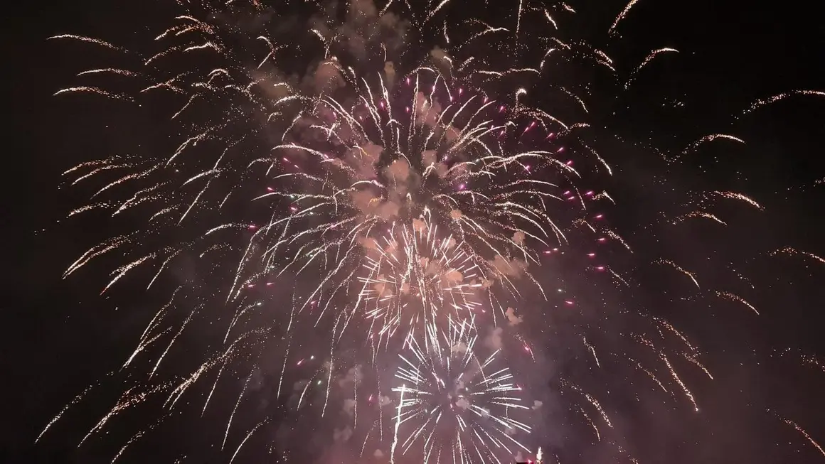 Fuegos artificiales (21)