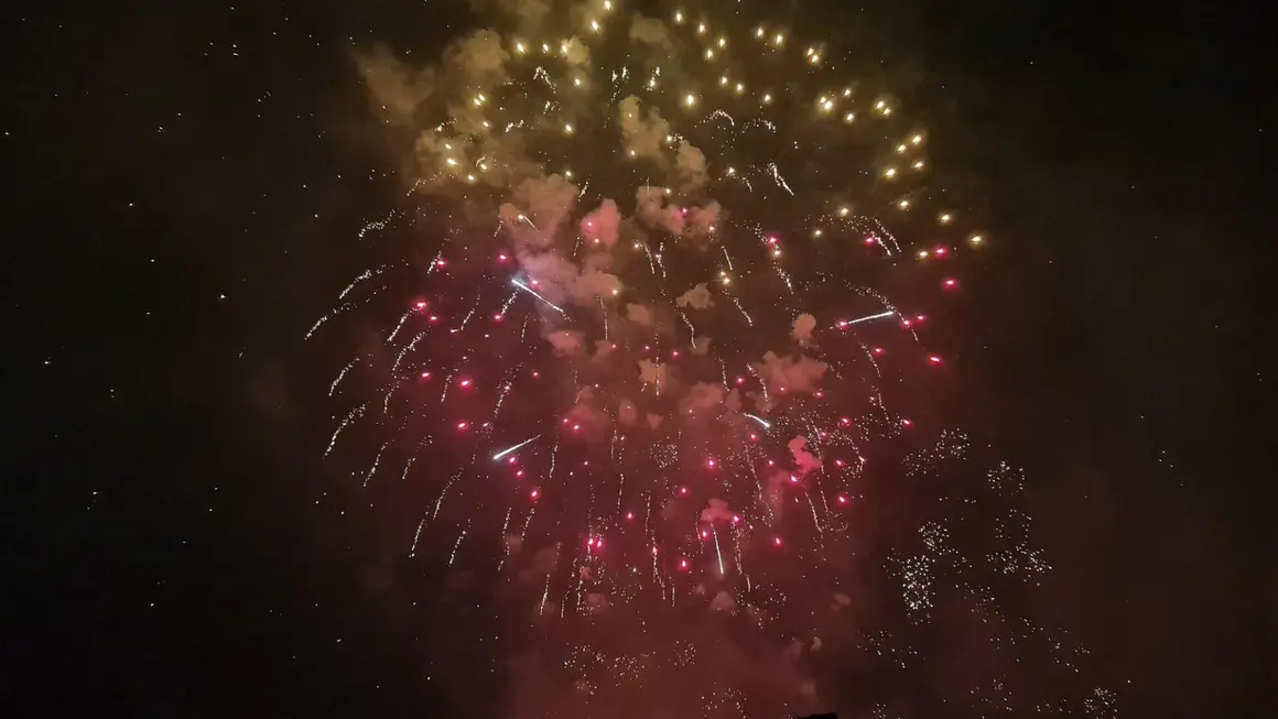 Fuegos artificiales (23)