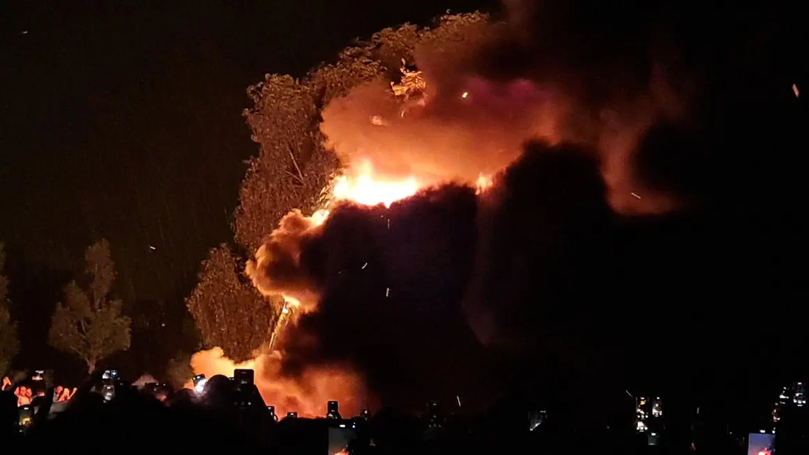 Fuegos artificiales (31)