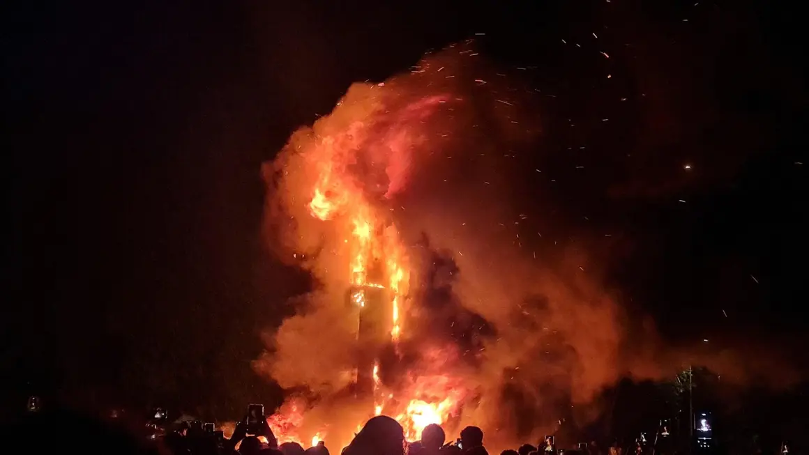 Fuegos artificiales (40)