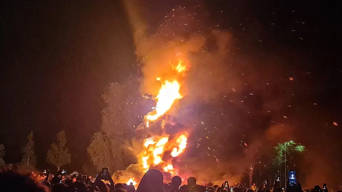 Fuegos artificiales (41)