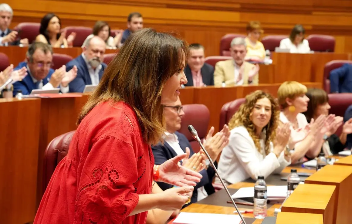 Pleno Cortes de Castilla y León (8)