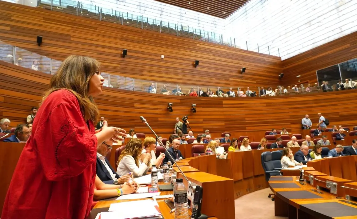 Pleno Cortes de Castilla y León (9)