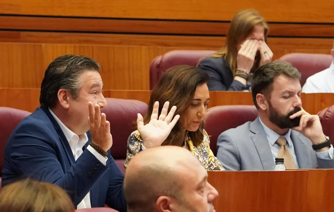 Pleno de las Cortes de Castilla y León durante la sesión de este martes. Foto: Miriam Chacón