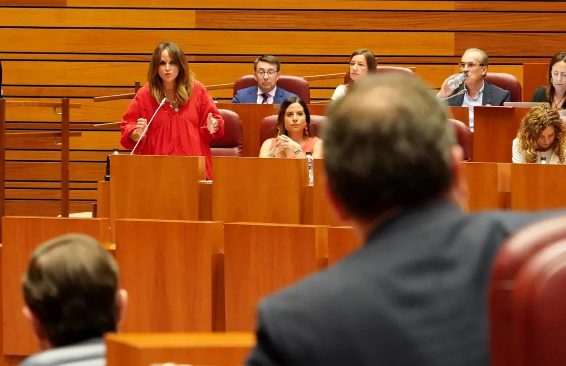 Pleno Cortes de Castilla y León (13)
