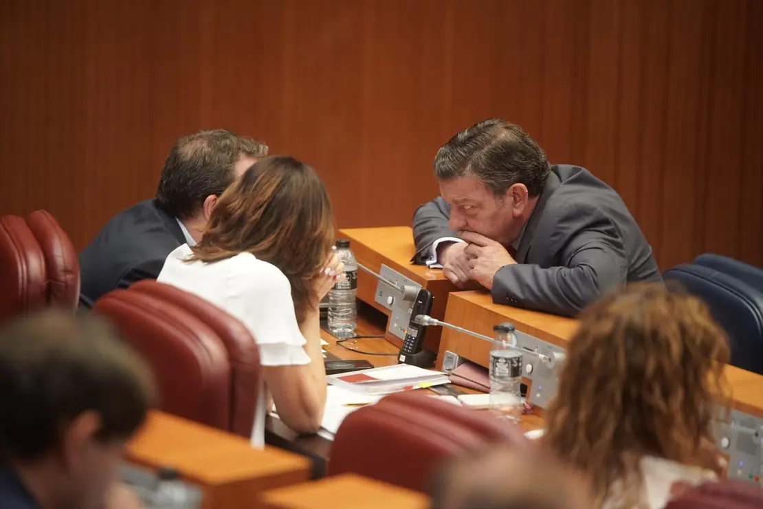 Pleno de las Cortes de Castilla y León (2).1