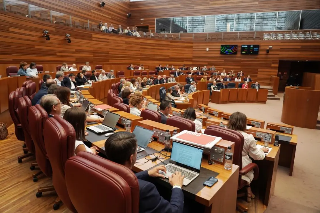 Pleno de las Cortes de Castilla y León (2)