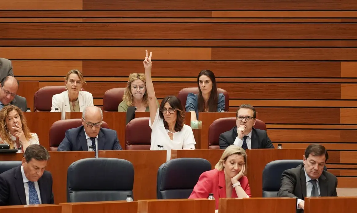 Pleno de las Cortes de Castilla y León (3)