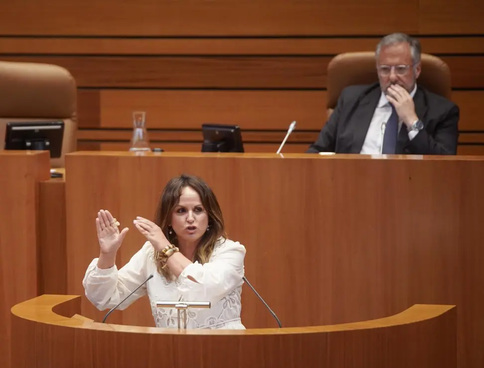 Pleno de las Cortes de Castilla y León (6)