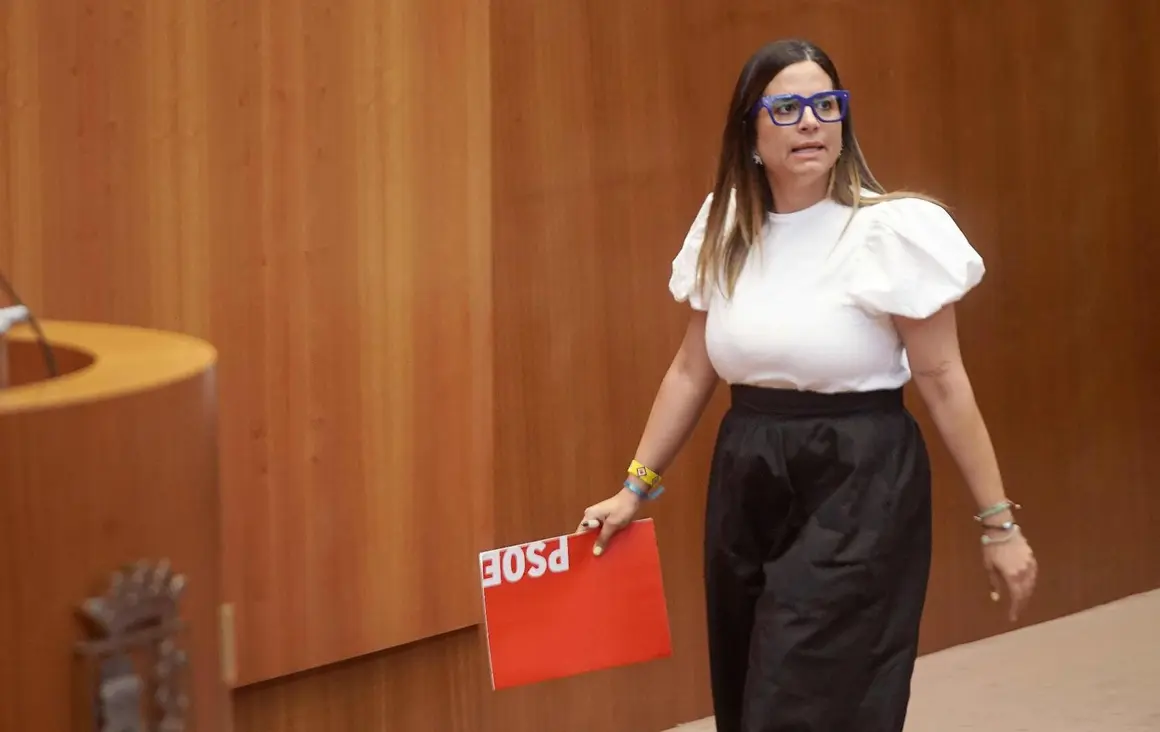 Las Cortes de Castilla y León aprobaron este miércoles, con los votos a favor de PSOE, Vox, Podemos y Francisco Igea, la nueva ley de Publicidad Institucional, mientras que el Grupo Popular votó en contra de una norma que considera que “vulnera la libertad de expresión y nace muerta”.  En la imagen, la leonesa Nuria Rubio