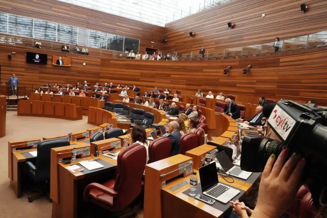 Pleno de las Cortes de Castilla y León (13)