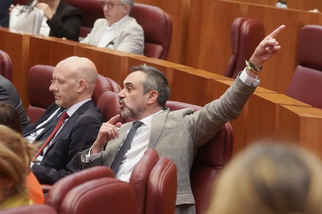 Pleno de las Cortes de Castilla y León (14)