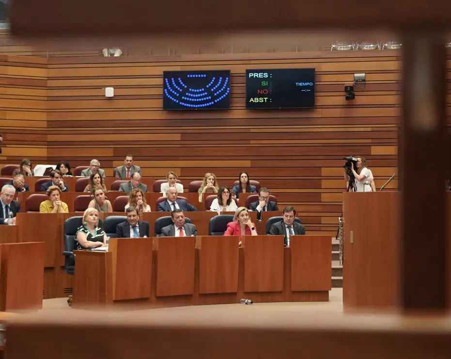 Pleno de las Cortes de Castilla y León (26)