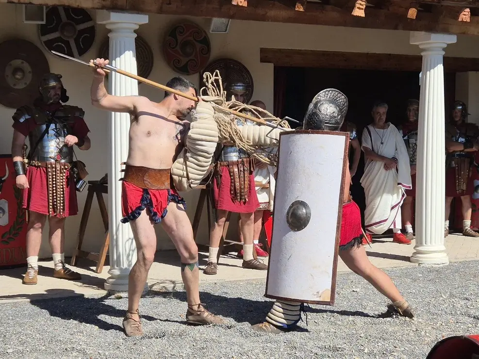 ludus 5