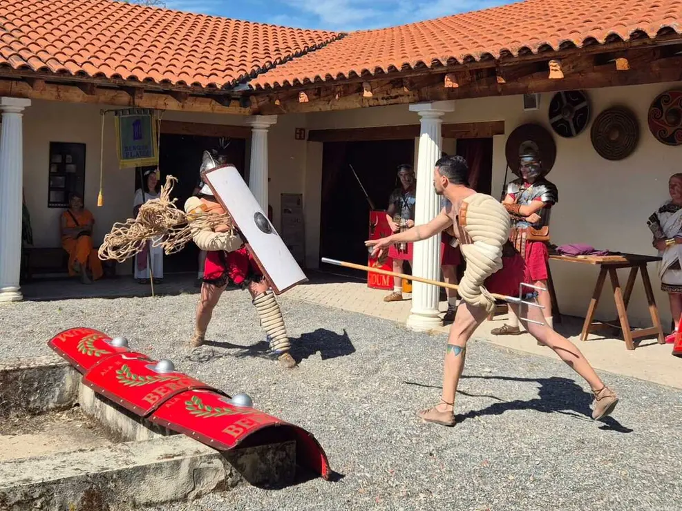 ludus 6