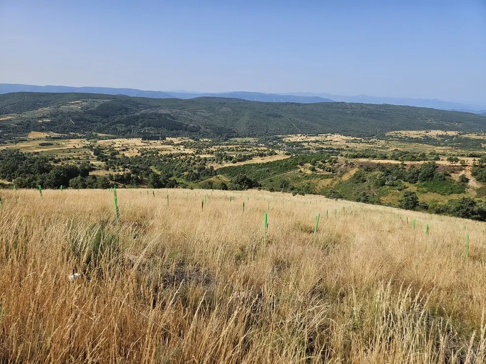 Visita Quintana de Fuseros 4