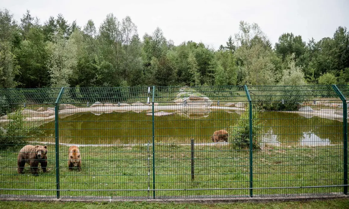 Gnadenhof fur Baren 11