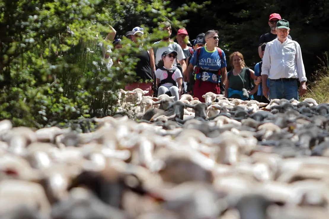 La Asociación Club de Producto Caminos Trashumantes, con la colaboración de la Junta Vecinal de Salamón y el Club de Montaña Pandetrave, organizan la jornada ‘Trashumancia sin barreras’. Foto: Peio García