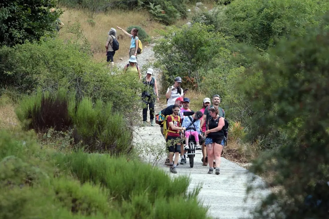 La Asociación Club de Producto Caminos Trashumantes, con la colaboración de la Junta Vecinal de Salamón y el Club de Montaña Pandetrave, organizan la jornada ‘Trashumancia sin barreras’. Foto: Peio García