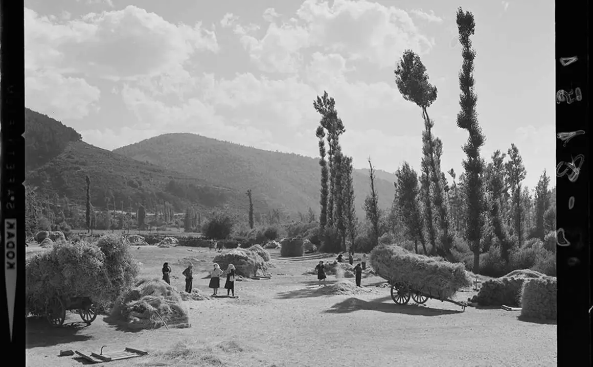 Fotografía tomada en agosto de 1966