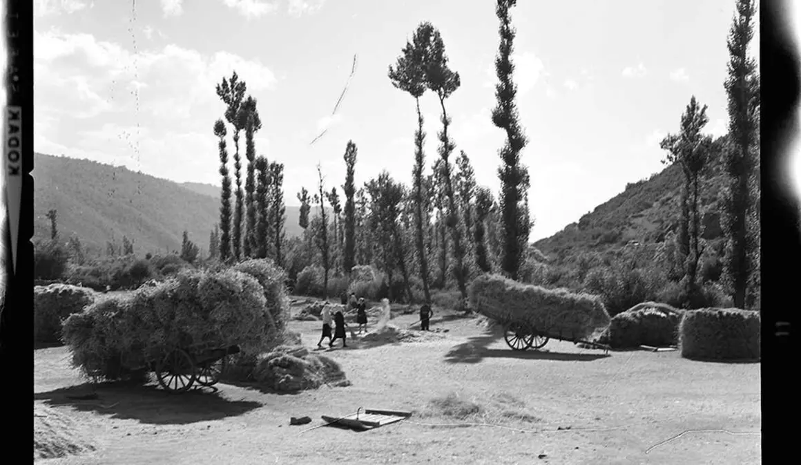 Fotografía tomada en agosto de 1966