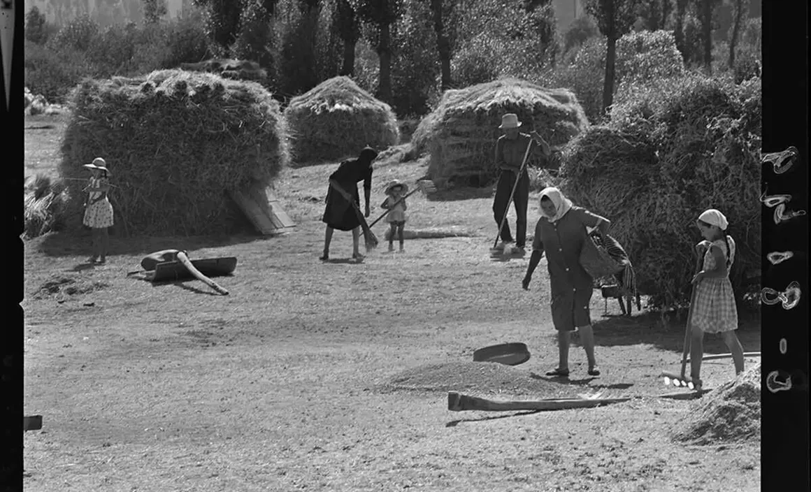 Fotografía tomada en agosto de 1966